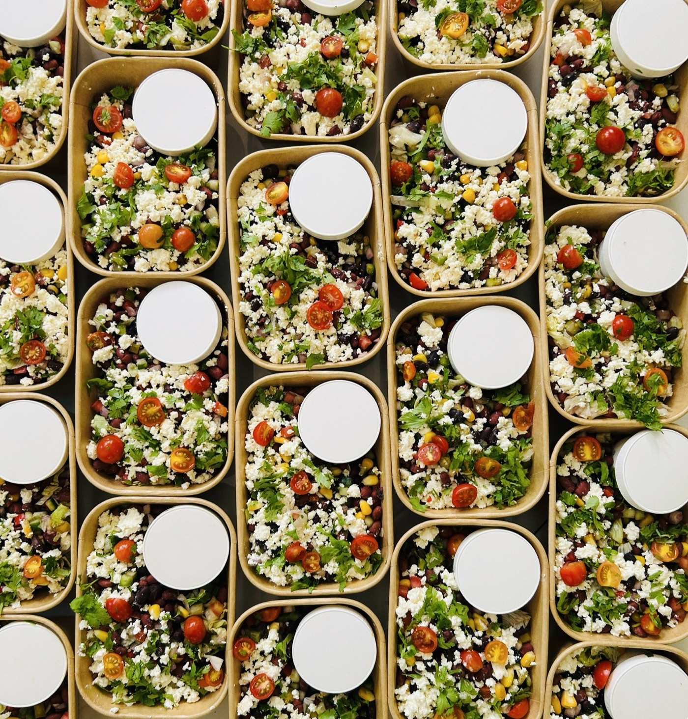 Rows of freshly packed SORT'D Daily meals for an office order